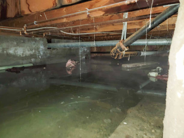 Sewage cleanup and water damage restoration in Briarcliff Manor, NY