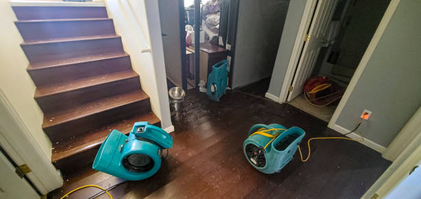 Best Flood damage cleanup  in Briarcliff Manor, NY