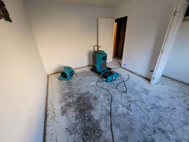 Water damage restoration experts in Briarcliff Manor, NY