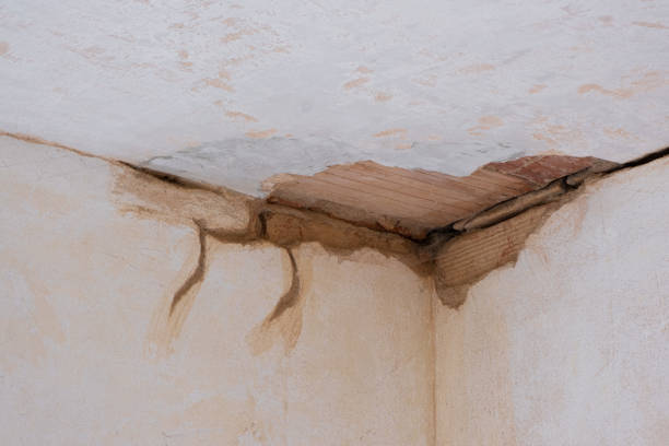 Best Fire Damage Restoration  in Briarcliff Manor, NY