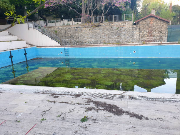 Best Flood restoration services  in Briarcliff Manor, NY