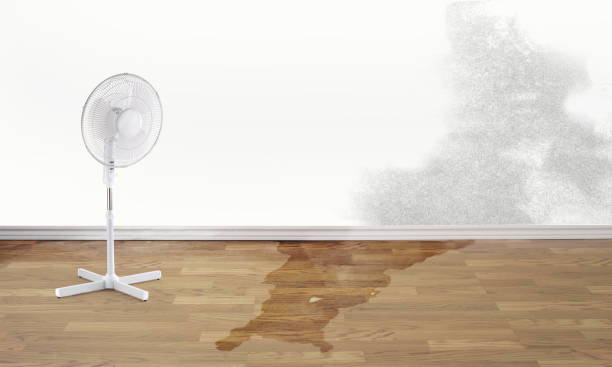 Best Residential water damage restoration  in Briarcliff Manor, NY