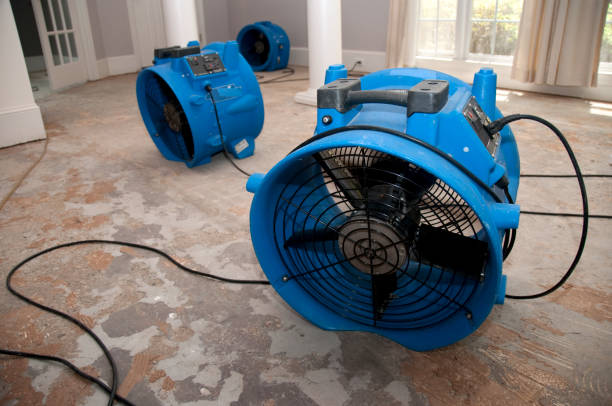 Best Sewage cleanup and water damage restoration  in Briarcliff Manor, NY