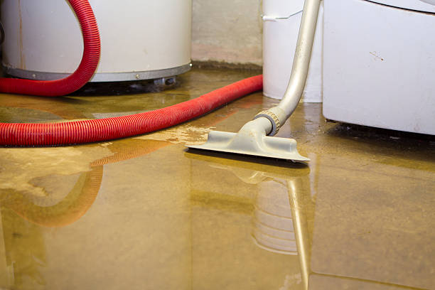 Best Water damage contractors near me  in Briarcliff Manor, NY