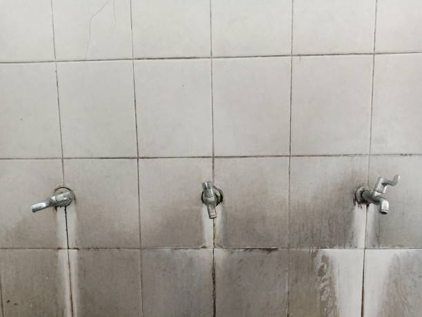 Best Water damage restoration experts  in Briarcliff Manor, NY