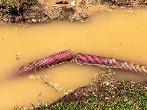  Briarcliff Manor, NY Water damage restoration Pros