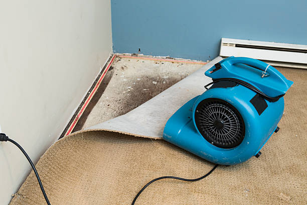 Professional Water damage restoration in Briarcliff Manor, NY